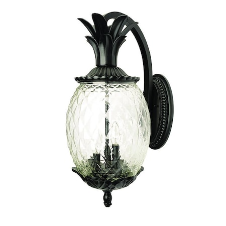 Estallar 18 x 7.5 x 10 in. Lanai 2-Light Matte Black Wall Light ES3102512